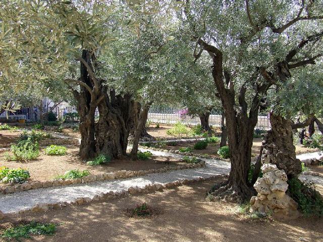 Israel - Jerusalem